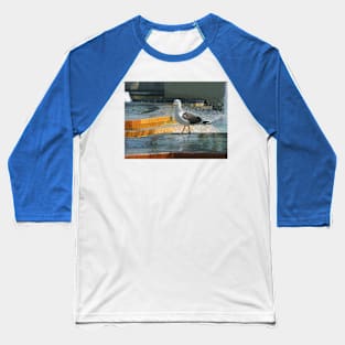 Seagull strut Baseball T-Shirt